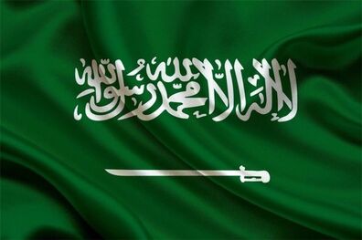 عربستان برای تحقق حقوق بشر ایستاده است