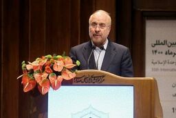 ایران و الجزایر مشترکات انقلابی و تاریخی زیادی دارند