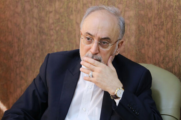 صالحی:بازدید از مراکز نظامی در برجام نداریم، فضا و میدان را برایش باز نکنیم