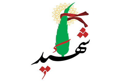 درگیری با اشرار جان نیروی یگان تکاوری ایرانشهر را گرفت