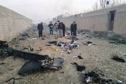 فوت فرزندان مدیرکل امور بین‌الملل وزارت بهداشت درپی حادثه سقوط هواپیما