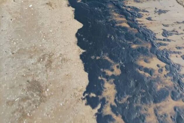 ساحل گناوه به مواد نفتی آلوده شده است