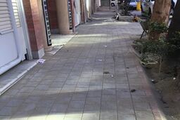 انجام عملیات پیاده رو سازی در خیابان هشتم احمد قصیر 