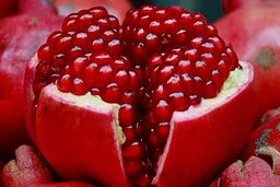 انار از بروز سرطان پیشگیری می کند