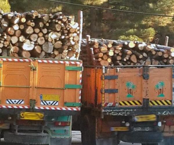 کشف بیش از 3تن چوب قاچاق در اصفهان 