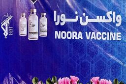 جزئیات تولید  واکسن نوترکیب و پروتئینی «نورا» 