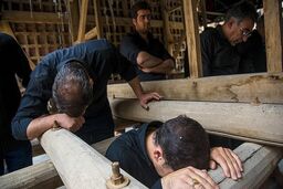 مراسم نخل‌برداری شهادت امام حسین(ع) در یزد برگزار شد