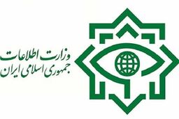 وزارت اطلاعات فعالیت مدیران دو تابعیتی در دولت را تکذیب کرد