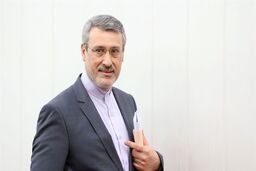 خطیب زاده از بهترین مدیران خوش‌فکر، جوان و خلاق وزارت امور خارجه هستند