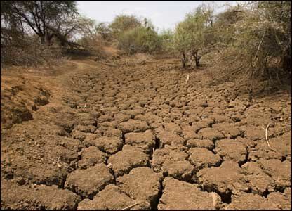 بررسی چالش‌ها و مشکلات مقابله با خشکسالی در خراسان‌جنوبی