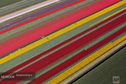 عکسهای برتر ماه دسامبر از نگاه خبرگزاری آسوشیتد پرس