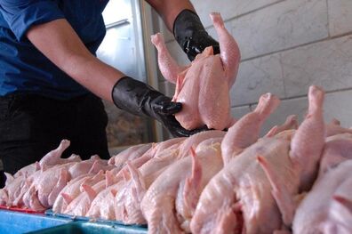 کاهش ۱۵۰ تومانی قیمت مرغ را به ۷۳۵۰ تومان رساند