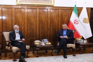 زبان فارسی از مولفه‌های اقتدار تمدنی جمهوری اسلامی ایران است