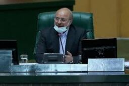 لایحه بودجه ۱۴۰۰ کل کشور لایحه مطلوب مجلس نیست/ کرامت مردم حفظ نمی شود