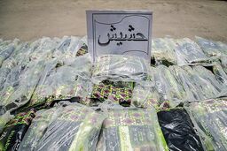 ۱۳۰ کیلوگرم مواد مخدر در فیروزکوه کشف شد