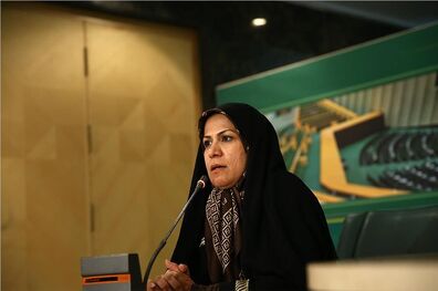  فاطمه ذوالقدر  مباحث مطرح شده در جلسه صبح امروز  فراکسیون امید را تشریح کرد