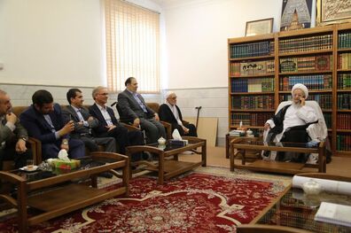 تأکید آیت الله مکارم بر حضور قاضی‌زاده هاشمی در دولت دوازدهم