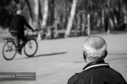 نیمکت های سرد پایتخت همدم تنهایی جوانان دیروز 