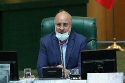 ناترازی، چالش و مانع جدی ما در حوزه گاز است/ مردم از مجلس و دولت توقع دارند
