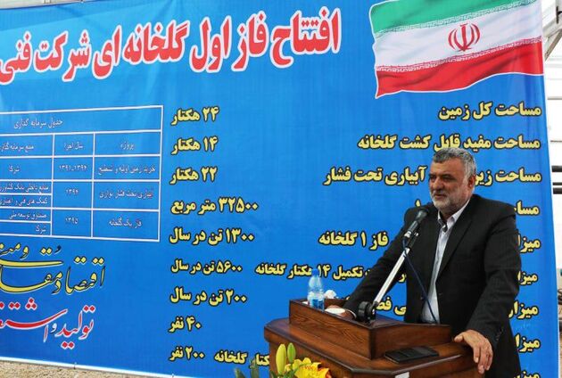 افزایش بهره وری تولید و اشتغال با اجرای طرح توسعه گلخانه‌ها در کشور/ دولت تسهیلات توسعه گلخانه را بدون محدودیت پرداخت می کند