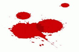 قتل پسر دانشجو پس از خروج از دانشگاه 