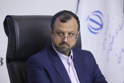 اظهارات مهم وزیر اقتصاد در حوزه سوخت