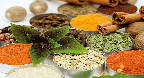 ضرورت تمرکز بر تولیدات بومی گیاهان دارویی