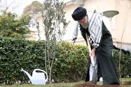
رهبر انقلاب سه اصله نهال کاشتند