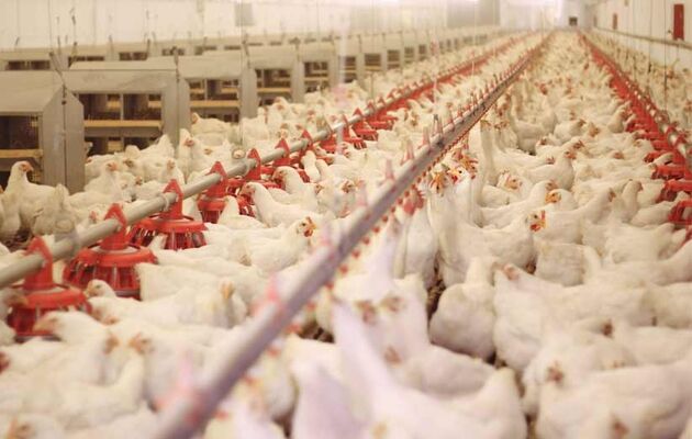 پرداخت 188میلیارد ریال تسهیلات اقتصاد مقاومتی توسط بانک کشاورزی استان البرز