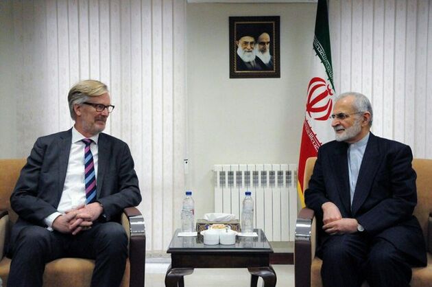 ضروری است 1+5 و ایران حمایت جدی از برجام کنند/ DNA اروپا به آمریکا وابسته است