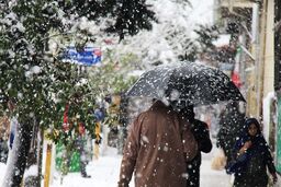  دانشگاه ها و مدارس تهران فردا 9 بهمن در نوبت صبح و بعد از ظهر تعطیل شد 