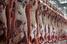 قیمت گوشت برای اربعین تغییر نمی کند