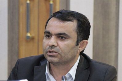 بررسی دپو مواد فاسد شدنی در گمرکات توسط سه عضو کمیسیون اقتصادی