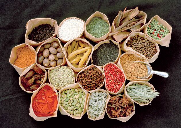 بررسی تحت پوشش بیمه قرار گرفتن خدمات طب سنتی در شورای عالی بیمه طی 20 روز آینده
