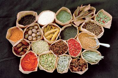 بررسی تحت پوشش بیمه قرار گرفتن خدمات طب سنتی در شورای عالی بیمه طی 20 روز آینده
