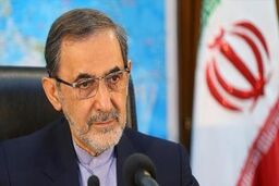 واکنش ولایتی به جنایت عربستان سعودی در اعدام دسته جمعی ۸۱  نفر