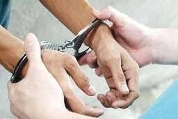 ضارب پلیس راهور فارس بازداشت شد