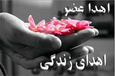 اهدای عضو جان 8 بیمار را در ارومیه نجات داد