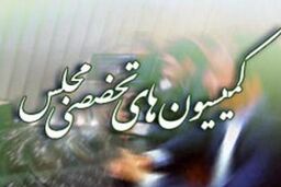 اعلام دستور کار کمیسیون های تخصصی مجلس در هفته جاری 