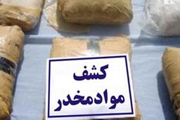 دستگیری 8 نفر از اعضای باند افعی مرداب