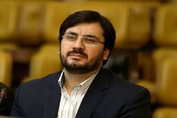 شبکه مردمی دیوان محاسبات در استان ها به زودی راه اندازی خواهد شد