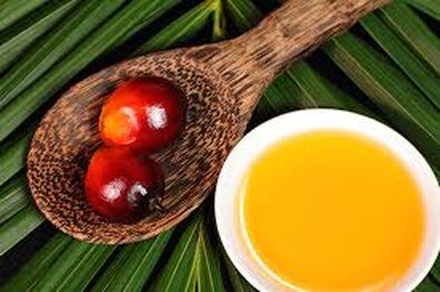 جلوگیری از افزایش واردات روغن پالم