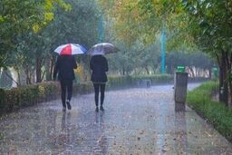 میزان بارندگی تهران در این دو روز چقدر بود؟