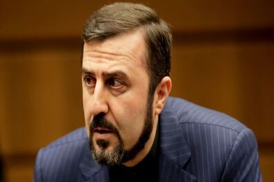 آخرین اقدامات انجام شده برای آزادی بازداشت شدگان در آمریکا تشریح شد