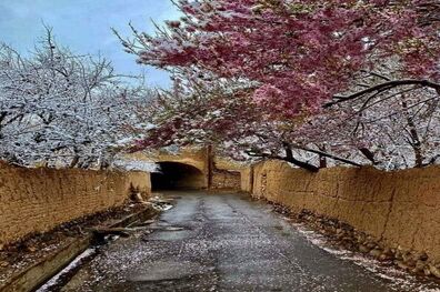 عکس/ چشم‌انداز زیبا شهرستان تفت
