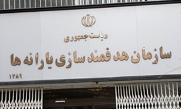 انتصاب مدیرعامل جدید سازمان هدفمندی یارانه ها 