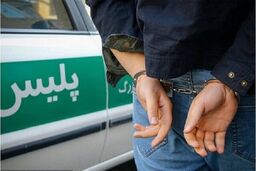 دستگیری ۵ دلال ارز در محدوده خیابان کریمخان تهران