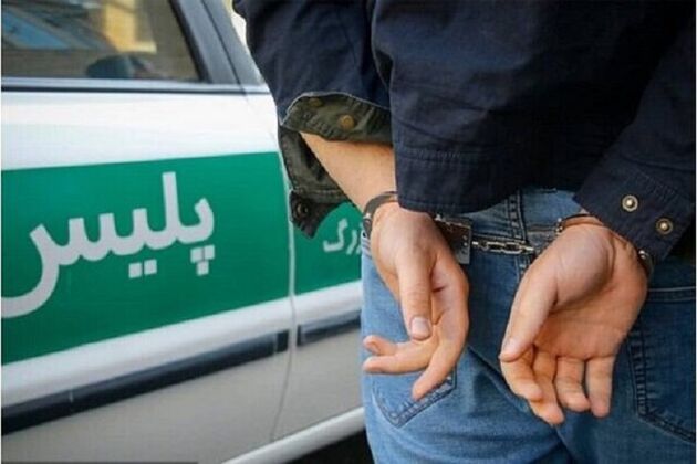 دستگیری ۵ دلال ارز در محدوده خیابان کریمخان تهران