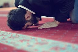 سجده های واجب قرآن