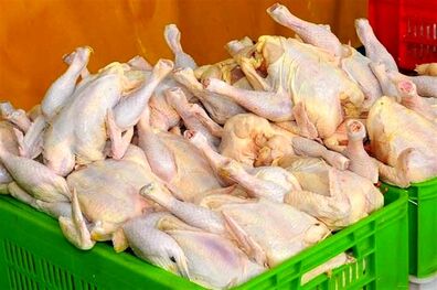 تاکید ستاد تنظیم بازار بر جلوگیری از افزایش قیمت مرغ در نقاط مختلف کشور